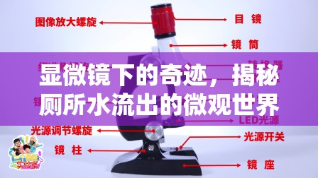 顯微鏡下的奇跡，揭秘廁所水流出的微觀世界