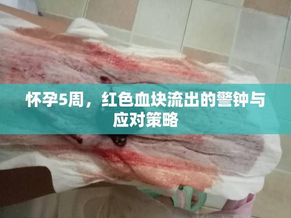 懷孕5周，紅色血塊流出的警鐘與應(yīng)對(duì)策略
