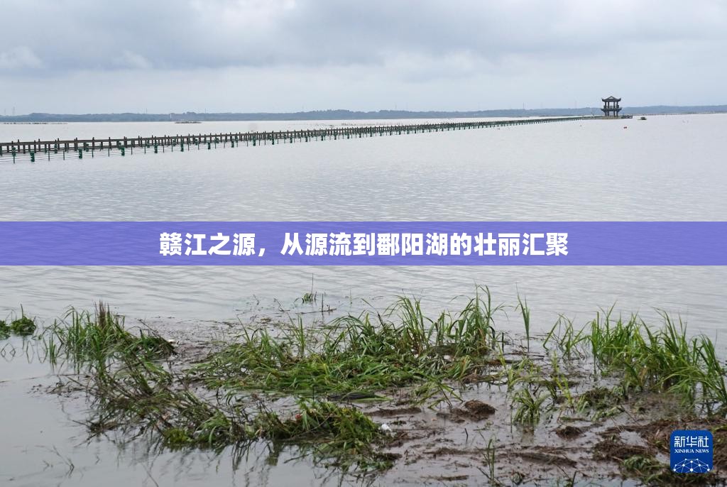 贛江之源，從源流到鄱陽湖的壯麗匯聚