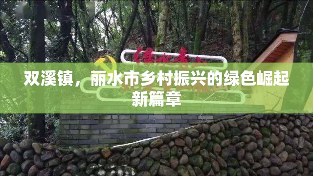 雙溪鎮(zhèn)，麗水市鄉(xiāng)村振興的綠色崛起新篇章