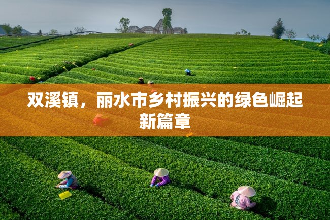 雙溪鎮(zhèn)，麗水市鄉(xiāng)村振興的綠色崛起新篇章
