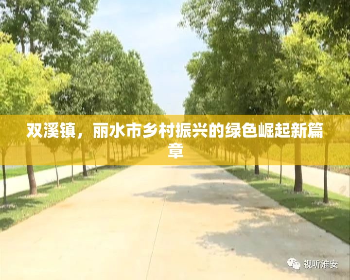 雙溪鎮(zhèn)，麗水市鄉(xiāng)村振興的綠色崛起新篇章