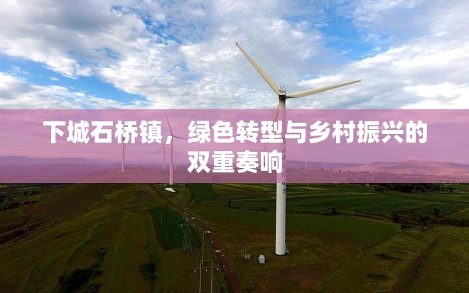 下城石橋鎮(zhèn)，綠色轉(zhuǎn)型與鄉(xiāng)村振興的雙重奏響