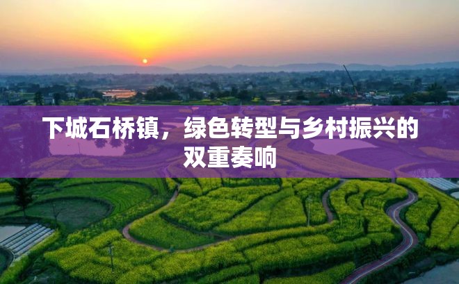 下城石橋鎮(zhèn)，綠色轉(zhuǎn)型與鄉(xiāng)村振興的雙重奏響