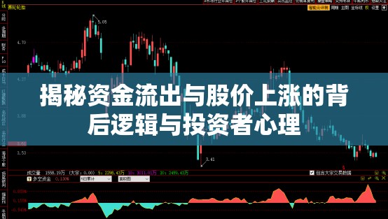 揭秘資金流出與股價(jià)上漲的背后邏輯與投資者心理