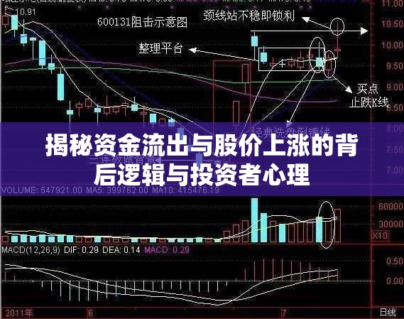 揭秘資金流出與股價(jià)上漲的背后邏輯與投資者心理
