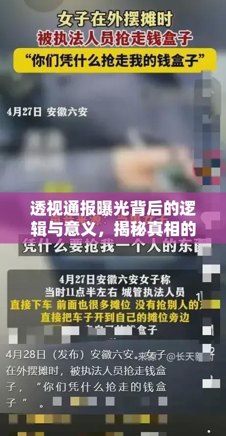 透視通報(bào)曝光背后的邏輯與意義，揭秘真相的依據(jù)