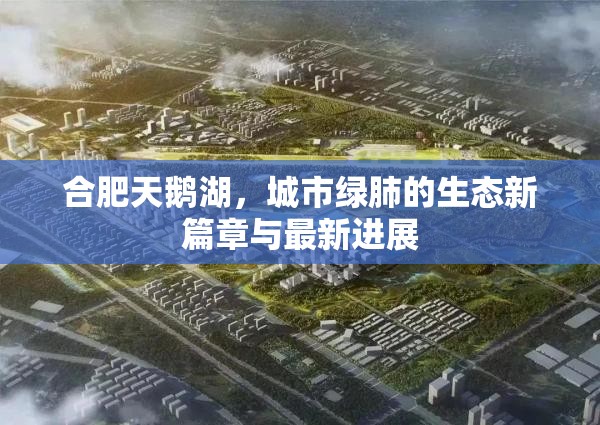 合肥天鵝湖，城市綠肺的生態(tài)新篇章與最新進(jìn)展