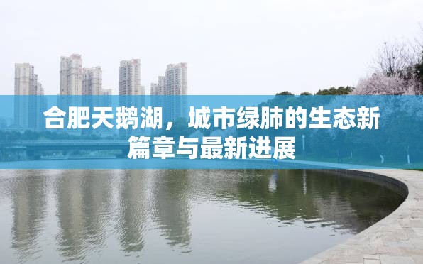合肥天鵝湖，城市綠肺的生態(tài)新篇章與最新進(jìn)展