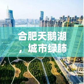 合肥天鵝湖，城市綠肺的生態(tài)新篇章與最新進(jìn)展