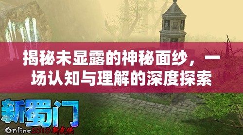 揭秘未顯露的神秘面紗，一場認知與理解的深度探索