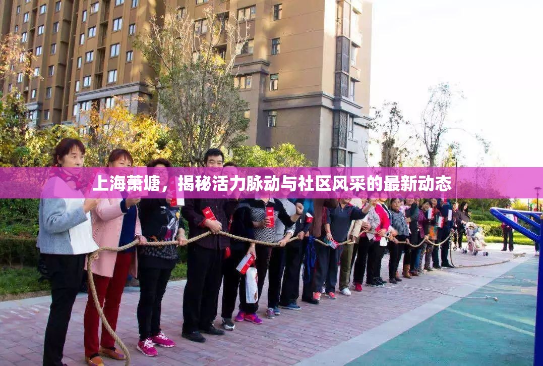 上海蕭塘，揭秘活力脈動(dòng)與社區(qū)風(fēng)采的最新動(dòng)態(tài)