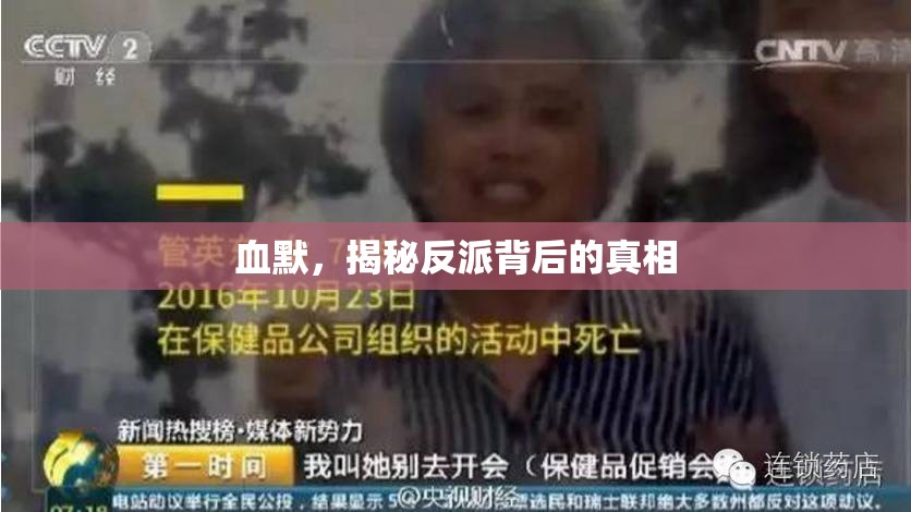 血默，揭秘反派背后的真相