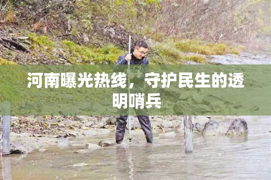 河南曝光熱線，守護民生的透明哨兵