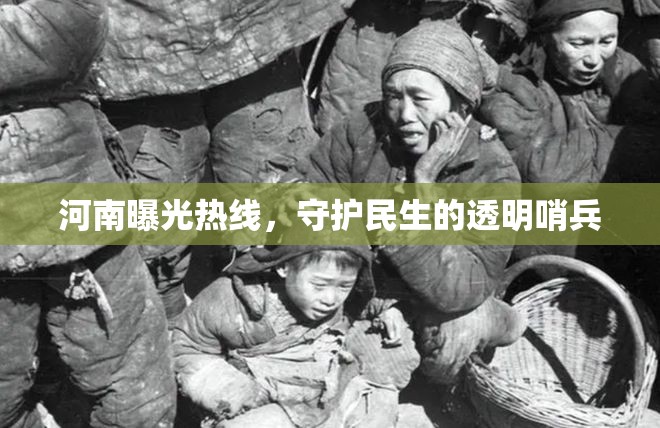 河南曝光熱線，守護民生的透明哨兵