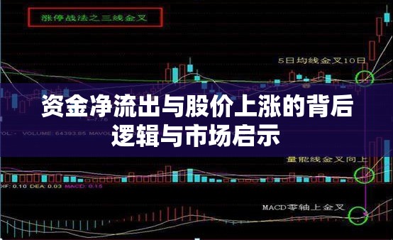資金凈流出與股價上漲的背后邏輯與市場啟示