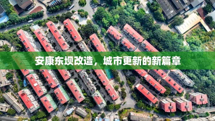 安康東壩改造，城市更新的新篇章