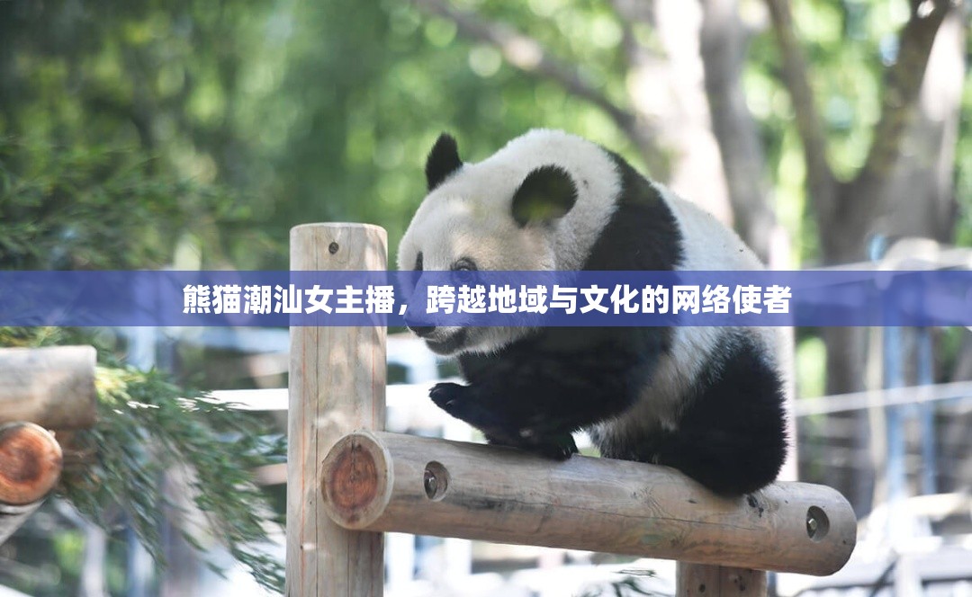 熊貓潮汕女主播，跨越地域與文化的網(wǎng)絡(luò)使者