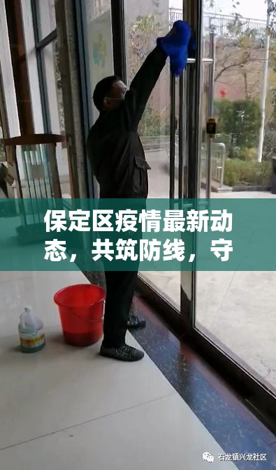 保定區(qū)疫情最新動態(tài)，共筑防線，守護家園的每一刻