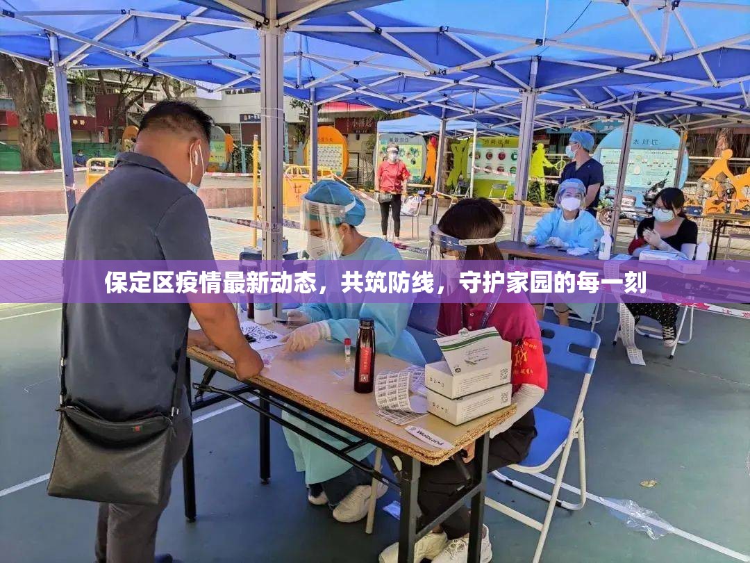 保定區(qū)疫情最新動態(tài)，共筑防線，守護家園的每一刻