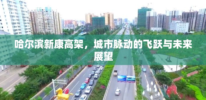 哈爾濱新康高架，城市脈動的飛躍與未來展望