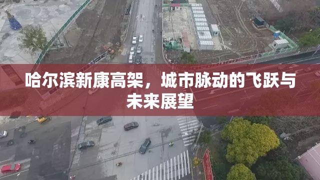 哈爾濱新康高架，城市脈動的飛躍與未來展望