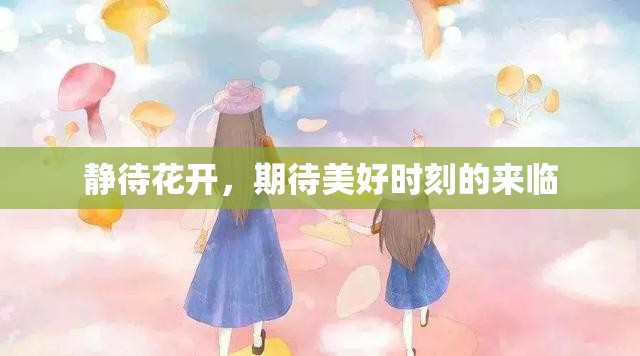 靜待花開(kāi)，期待美好時(shí)刻的來(lái)臨