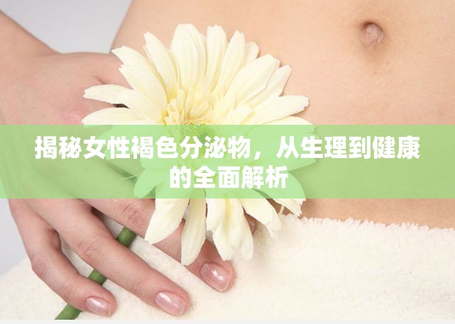 揭秘女性褐色分泌物，從生理到健康的全面解析