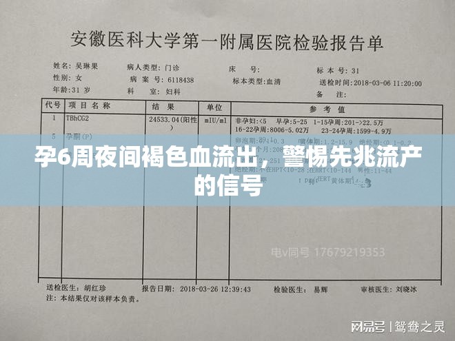 孕6周夜間褐色血流出，警惕先兆流產(chǎn)的信號