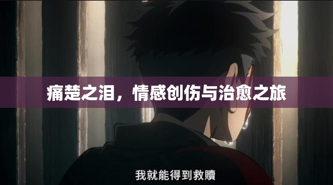 痛楚之淚，情感創(chuàng)傷與治愈之旅