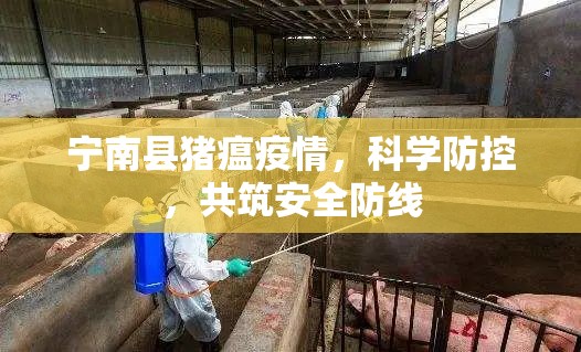寧南縣豬瘟疫情，科學(xué)防控，共筑安全防線