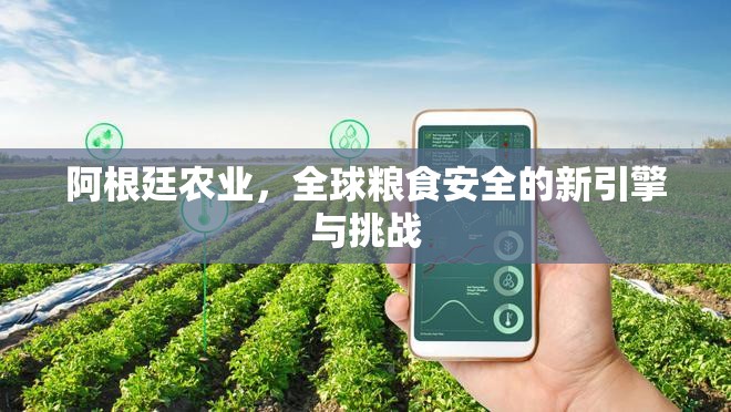 阿根廷農(nóng)業(yè)，全球糧食安全的新引擎與挑戰(zhàn)
