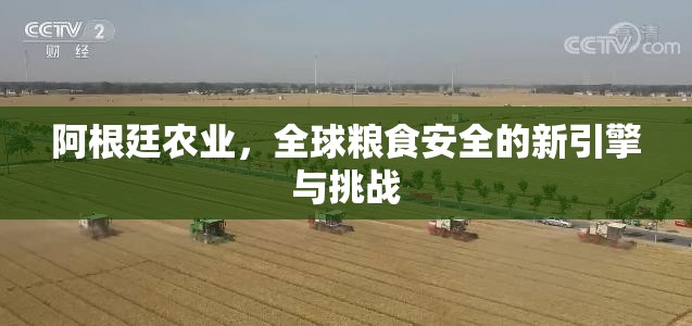 阿根廷農(nóng)業(yè)，全球糧食安全的新引擎與挑戰(zhàn)
