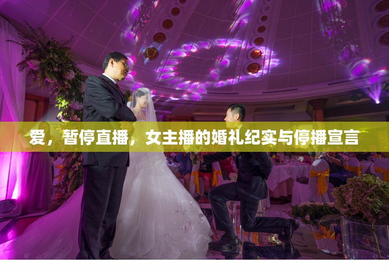 愛，暫停直播，女主播的婚禮紀(jì)實與停播宣言