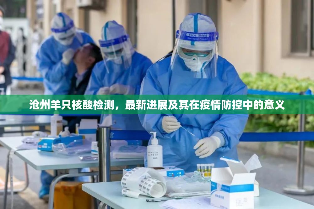 滄州羊只核酸檢測(cè)，最新進(jìn)展及其在疫情防控中的意義