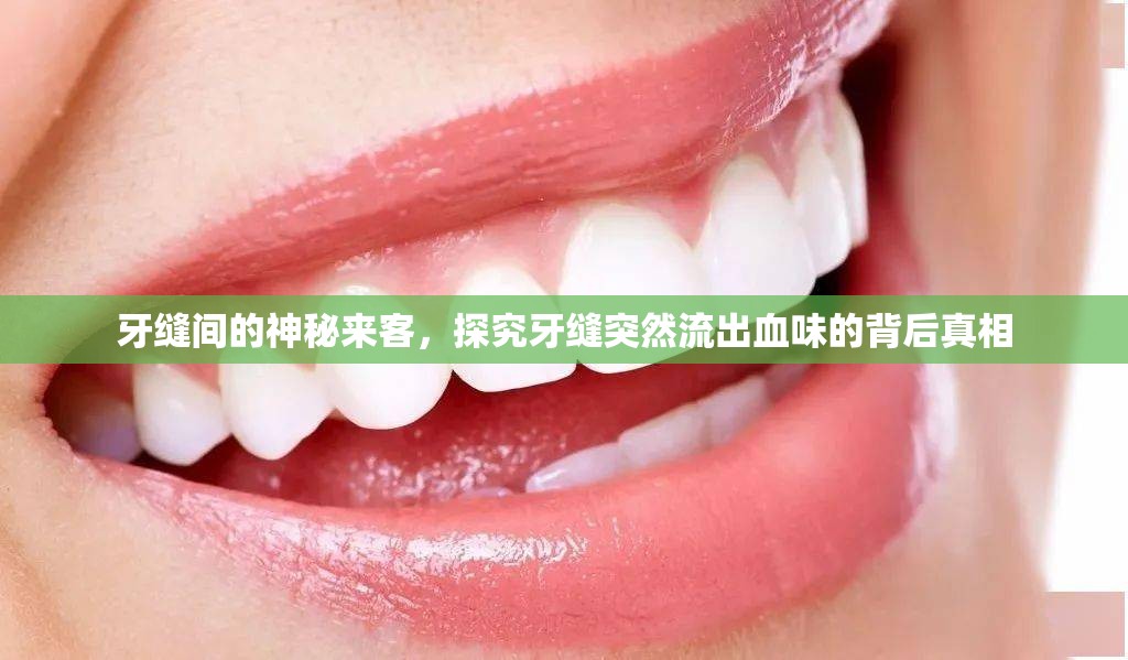 牙縫間的神秘來客，探究牙縫突然流出血味的背后真相