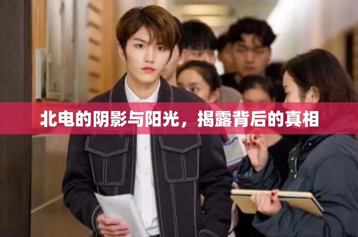 北電的陰影與陽(yáng)光，揭露背后的真相
