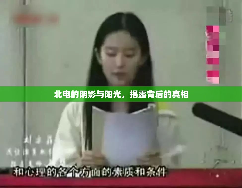 北電的陰影與陽(yáng)光，揭露背后的真相