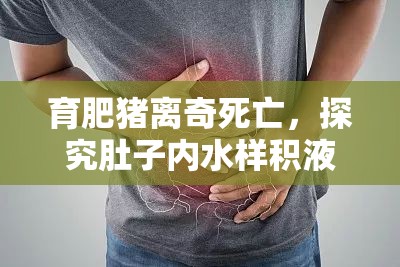 育肥豬離奇死亡，探究肚子內(nèi)水樣積液的背后真相