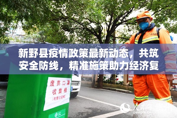 新野縣疫情政策最新動態(tài)，共筑安全防線，精準施策助力經(jīng)濟復蘇