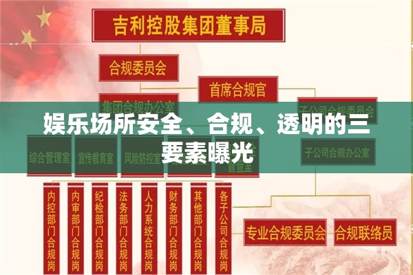 娛樂場所安全、合規(guī)、透明的三要素曝光