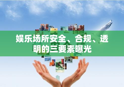 娛樂場所安全、合規(guī)、透明的三要素曝光