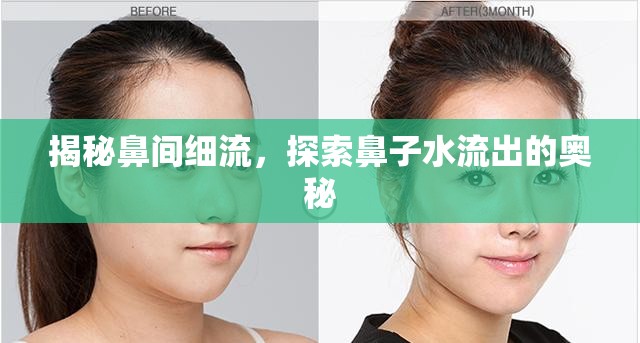 揭秘鼻間細流，探索鼻子水流出的奧秘