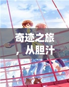 奇跡之旅，從膽汁外流到自我愈合的旅程
