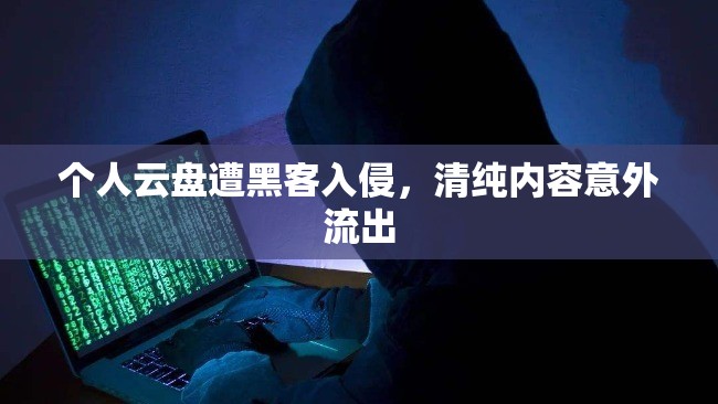 個人云盤遭黑客入侵，清純內(nèi)容意外流出