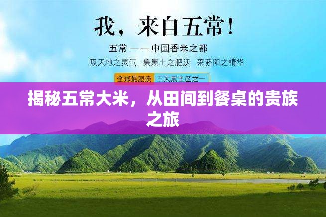 揭秘五常大米，從田間到餐桌的貴族之旅