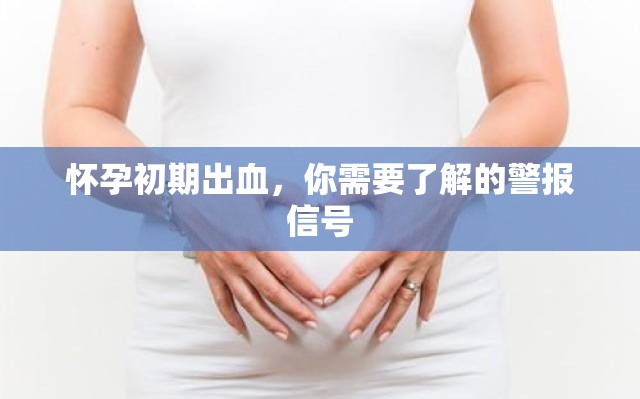 懷孕初期出血，你需要了解的警報(bào)信號(hào)