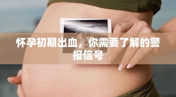 懷孕初期出血，你需要了解的警報(bào)信號(hào)