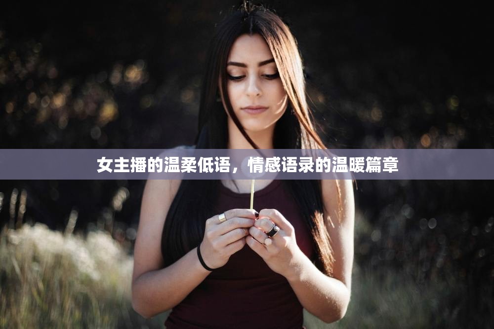 女主播的溫柔低語，情感語錄的溫暖篇章