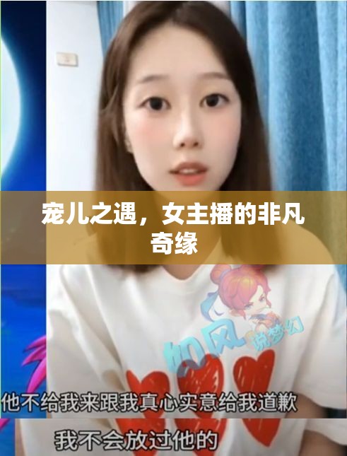 寵兒之遇，女主播的非凡奇緣